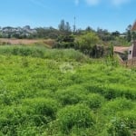 Terreno para venda no bairro Moinhos