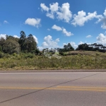 1 HA DE TERRAS EM FORQUETA DE FRONTE PARA A RODOVIA VICINAL MATO PERSO EM CAXIAS DO SUL