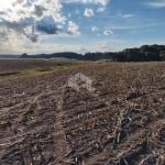 Lote de terras 15,18 Ha na Forqueta em Farroupilha