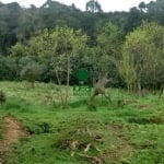 Ótima área de terras na Vila Maestra em Caxias do Sul sentido Flores da Cunha