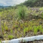 Terreno Loteamento Águas Claras