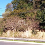 Amplo terreno na rua Buarque de Macedo