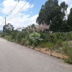 Terreno à venda na Quadra D, 28, Alfândega, Garibaldi