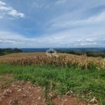 Área de terras em Coronel Pilar,  com 12,4ha