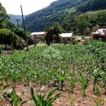 Terreno ideal para moradia, no centro de Boa Vista do Sul