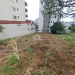 Terreno no bairro São Francisco