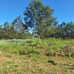 Terreno plano de 360 m² bairro Alfandega na cidade de Garibaldi