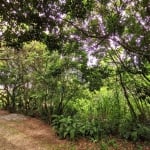 Terreno á venda em Garopaba com vista para o mar, serra e lagoa no Morro da Ferrugem.