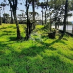 Terreno em aclive, 800m², no Condomínio Aspen Mountain em Gramado