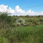 Terreno Comercial À Venda, Fragata, Pelotas.