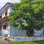 Casa Localizada Em Rua Asfaltada