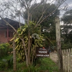 Casa com 4 quartos à venda na Rua Ernesto da Fontoura, 836, Tarumã, Viamão