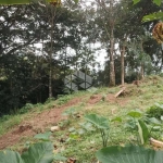 TERRENO Á VENDA NO CANTO DA LAGOA,  686,00M²  R$ 750.000,00