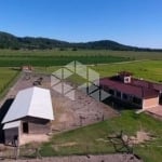 Fazenda/Sítio com 4 Quartos e 3 banheiros à Venda, 40.000m² , Bairro Lami