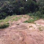 Terreno Industrial à venda, Chácaras São Luís, Santana de Parnaíba - .