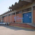 Galpão Industrial - Locação/Venda - 6.500 m² - Rod. Anhanguera - Osasco - SP