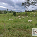 FAZENDA (220 alqueires). A 110 KM DE BRASÍLIA