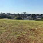 Terreno para Venda em Guarapuava, Cascavel