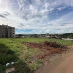 Terreno para Venda em Guarapuava, São Cristovão