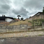 Terreno para Venda em Guarapuava, Santa Cruz