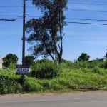 Terreno para Locação em Guarapuava, Vila Bela