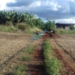 Chácara à venda em Maringá, Parque Industrial 200, com 0 suíte, com 7000 m²