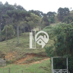 Área rural à venda, Centro, Gonçalves-MG.