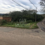 Terreno à venda na Estrada Cristiano Kraemer, 3035, Vila Nova, Porto Alegre