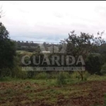 Chácara / sítio com 3 quartos à venda na Estrada Armando Inácio da Silveira, 4557, Extrema, Porto Alegre