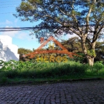 Terreno à venda na Rua Doutor Pitrez, 652, Ipanema, Porto Alegre