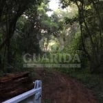 Chácara / sítio com 1 quarto à venda na Estrada São Caetano, 2501, Lami, Porto Alegre