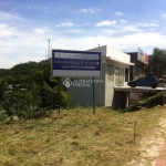 Terreno comercial à venda na Rodovia Armando Calil Bulos, 800, Vargem Grande, Florianópolis