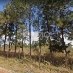 Terreno comercial à venda na Jandyra Oliveira Ricato, snº, Chácara Monte Alegre, Sumaré