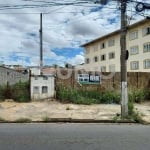 Terreno comercial para alugar na Avenida Jorge Tibiriçá, 627, Vila Joaquim Inácio, Campinas