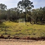 Terreno para Venda em São José dos Pinhais, Roseira de São Sebastião