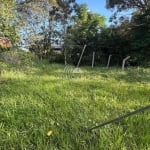 Terreno para Venda em Florianópolis, São João do Rio Vermelho