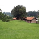 Haras com 4 dormitórios à venda, 7,99 Ha por R$ 3.500.000 - Colina da Castelo - Porto Feliz/SP