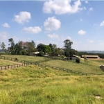 Haras com 3 dormitórios à venda, 121000 m² por R$ 3.500.000,00 - Área Rural de Porto Feliz - Porto Feliz/SP