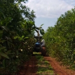 Área Rural à venda, ,  - AR0081.