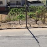 Lote no Bairro Cidade Nova (Avenida). CÓD. L045, 338,82 m², registrado. Região de Ipatinga.