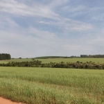 Fazenda à venda na Rural, 1021, Área Rural de Itapetininga, Itapetininga