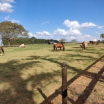 Chácara / sítio à venda na Municipal José Correa de Moraes, 1, Chapada Grande, Itapetininga