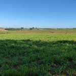 Fazenda à venda na estrada vicinal, 1020, Centro, Alambari