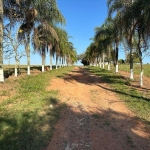 Fazenda à venda na estrada vicinal, 1010, Centro, Alambari