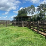 Fazenda à venda na Vicinal, 10202, Zona Rural, Inocência