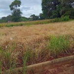 Terreno à venda na Belo Horizonte, 1010, Centro, Barão de Antonina