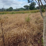 Terreno à venda na Belo Horizonte, 1010, Centro, Barão de Antonina