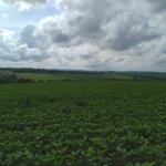 Fazenda à venda na estrada vicinal, 1010, Centro, Alambari