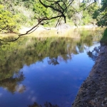 Chácara / sítio com 2 quartos à venda na Estrada Vicinal, 1010, Samanbaial, Barão de Antonina