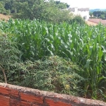 Terreno à venda na Avenida Brasília, 11111, Centro, Barão de Antonina